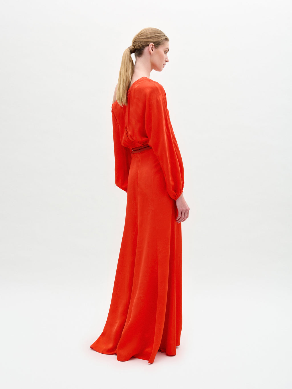 Lantern - sleeve dress