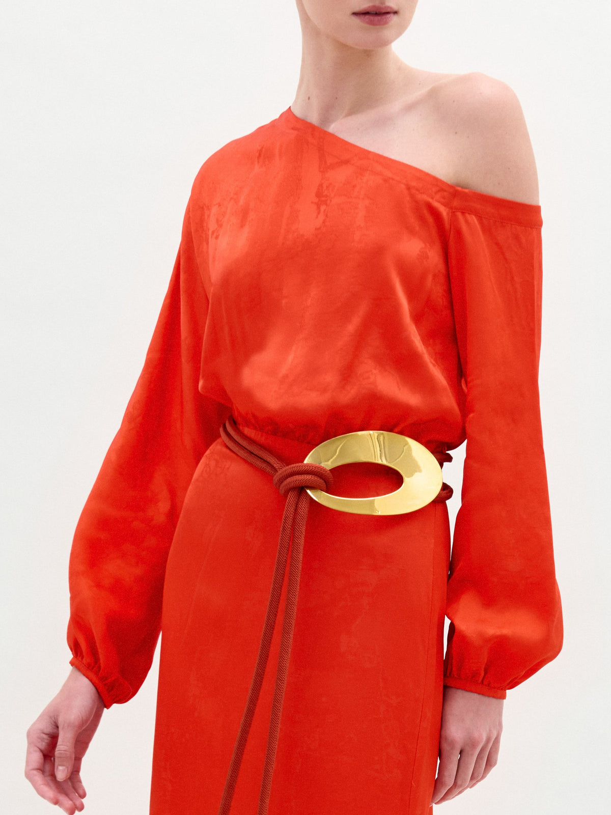 Lantern - sleeve dress