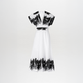 ‌V-Neck Embroidered Dress