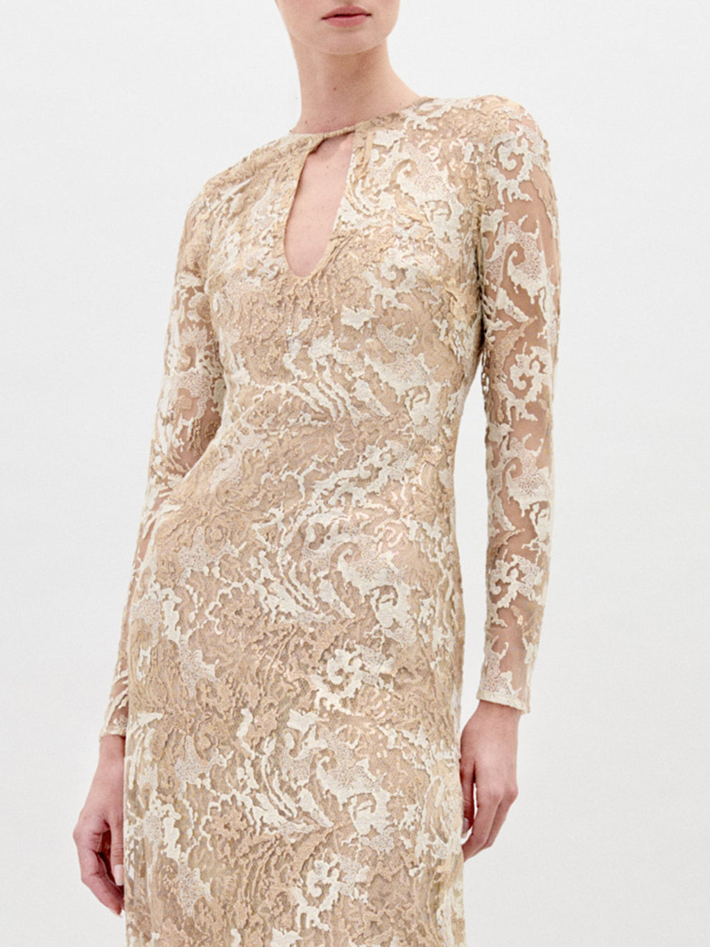 Long-sleeved Gold Embroidered Lace Dress