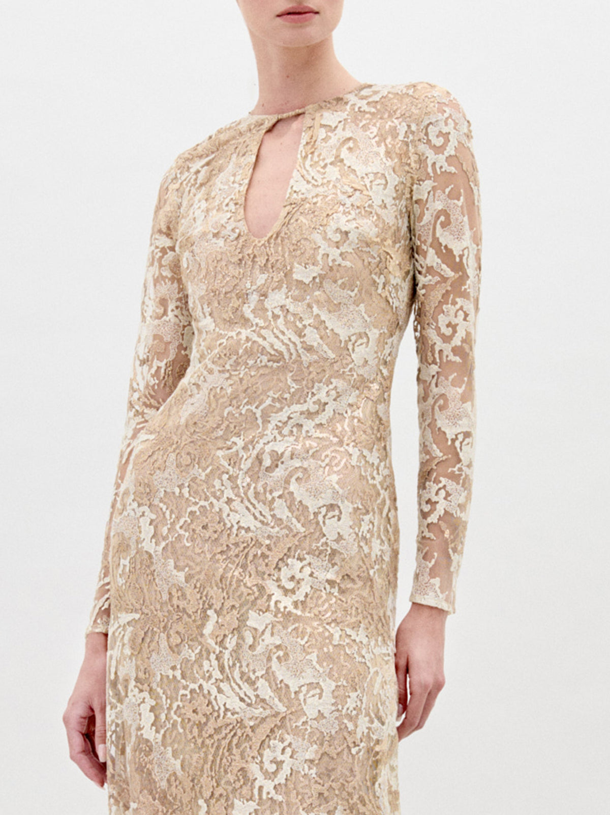 Long-sleeved Gold Embroidered Lace Dress